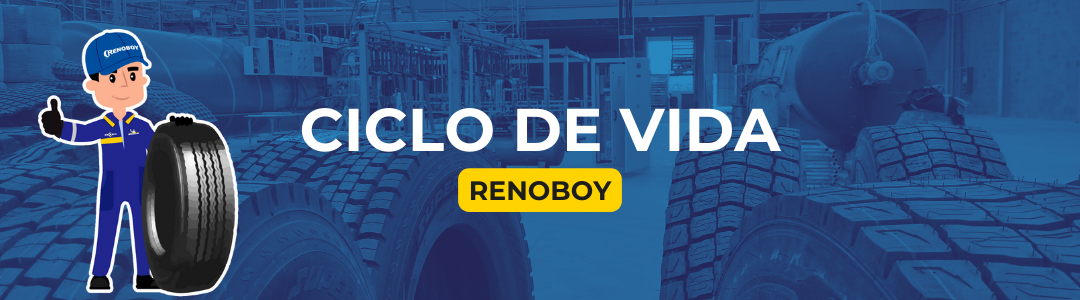 CICLO DE VIDA RENOBOY