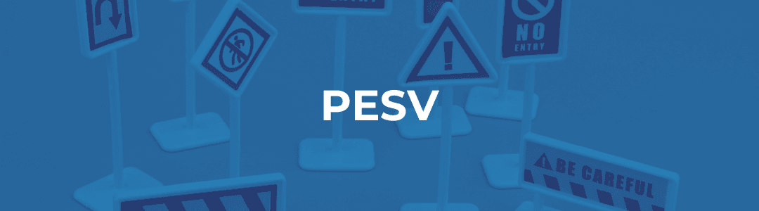 INDUCCIÓN PESV