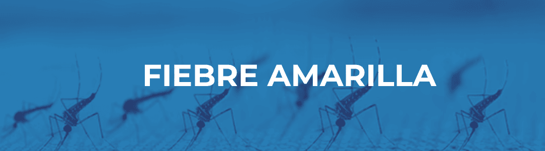 FIEBRE AMARILLA