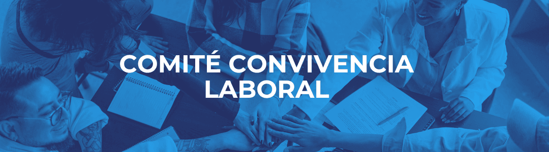 COMITÉ JUNIO-2025