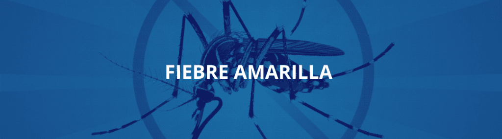 La imagen actual no tiene texto alternativo. El nombre del archivo es: Encuesta-Satisfaccion-7.png