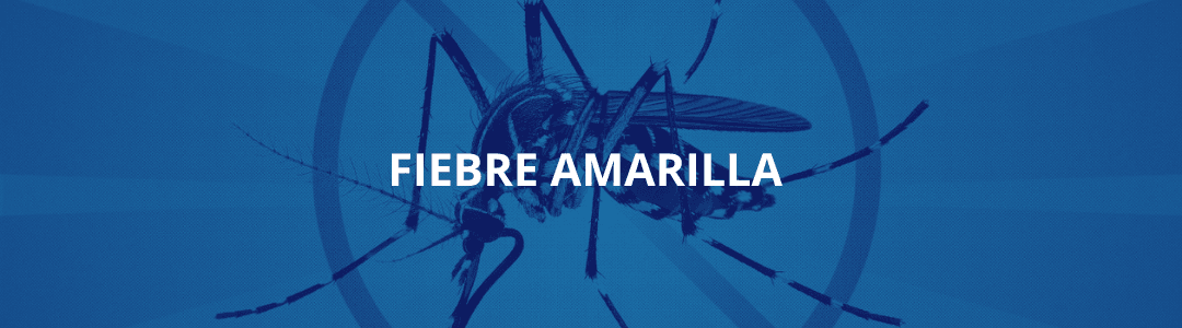 🌴🦟 Semana Santa Segura: La Importancia de la Vacuna contra la Fiebre Amarilla 🦟🌴