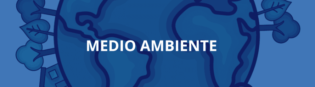 La imagen actual no tiene texto alternativo. El nombre del archivo es: Encuesta-Satisfaccion-19.png